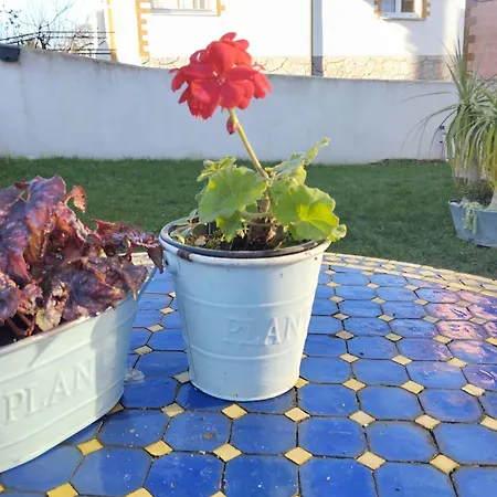 Сasa de vacaciones El Hogarin De Veronica Gijón