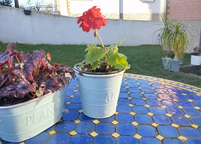 Сasa de vacaciones El Hogarin De Veronica Gijón